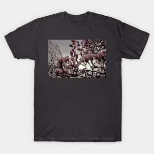 Cherry Blossom T-Shirt